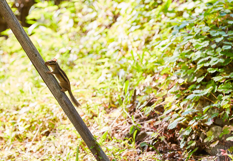 “忏悔餐厅”阿南蒂 我们的场景和电影一样美丽。(图1)