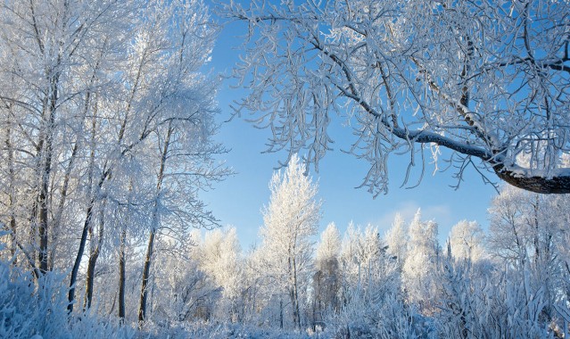 享受海上的温泉 美妙的时光水屋(图1)