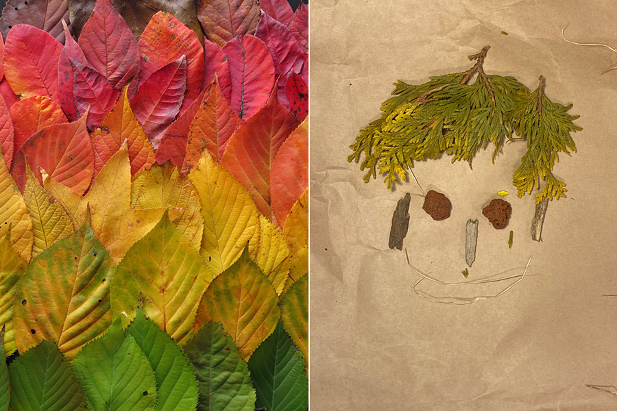 给刚刚走进森林的你(图1)